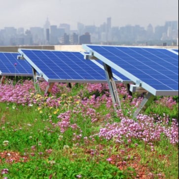 Manhattan Solar Green - bio Solar