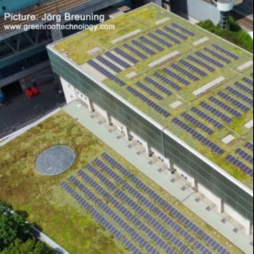 3 acres Solar Green Roof